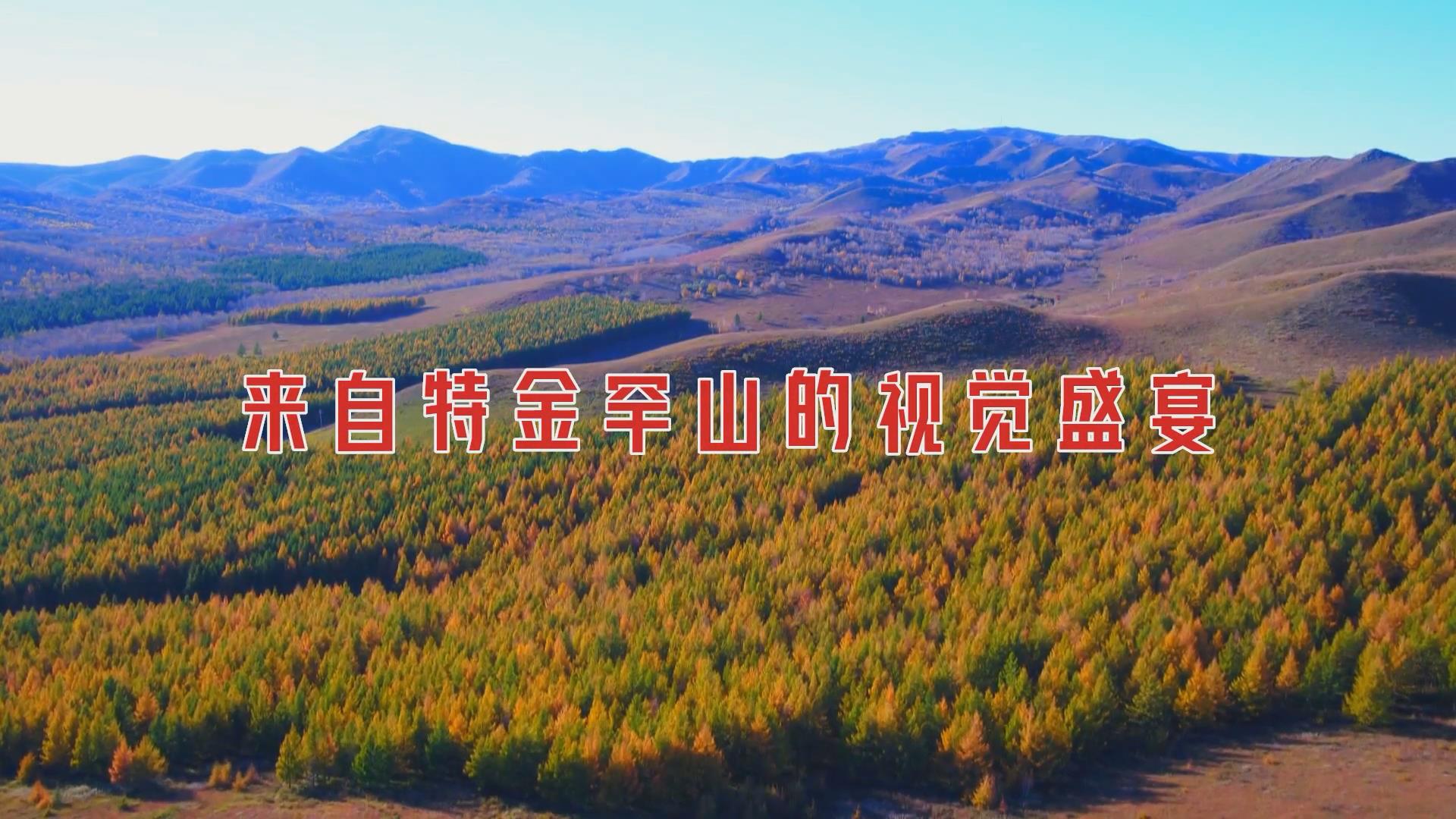 来自特金罕山的视觉盛宴
