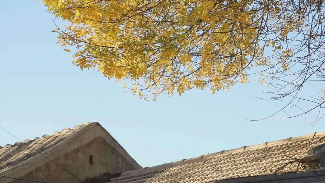 请点击图片查看视频