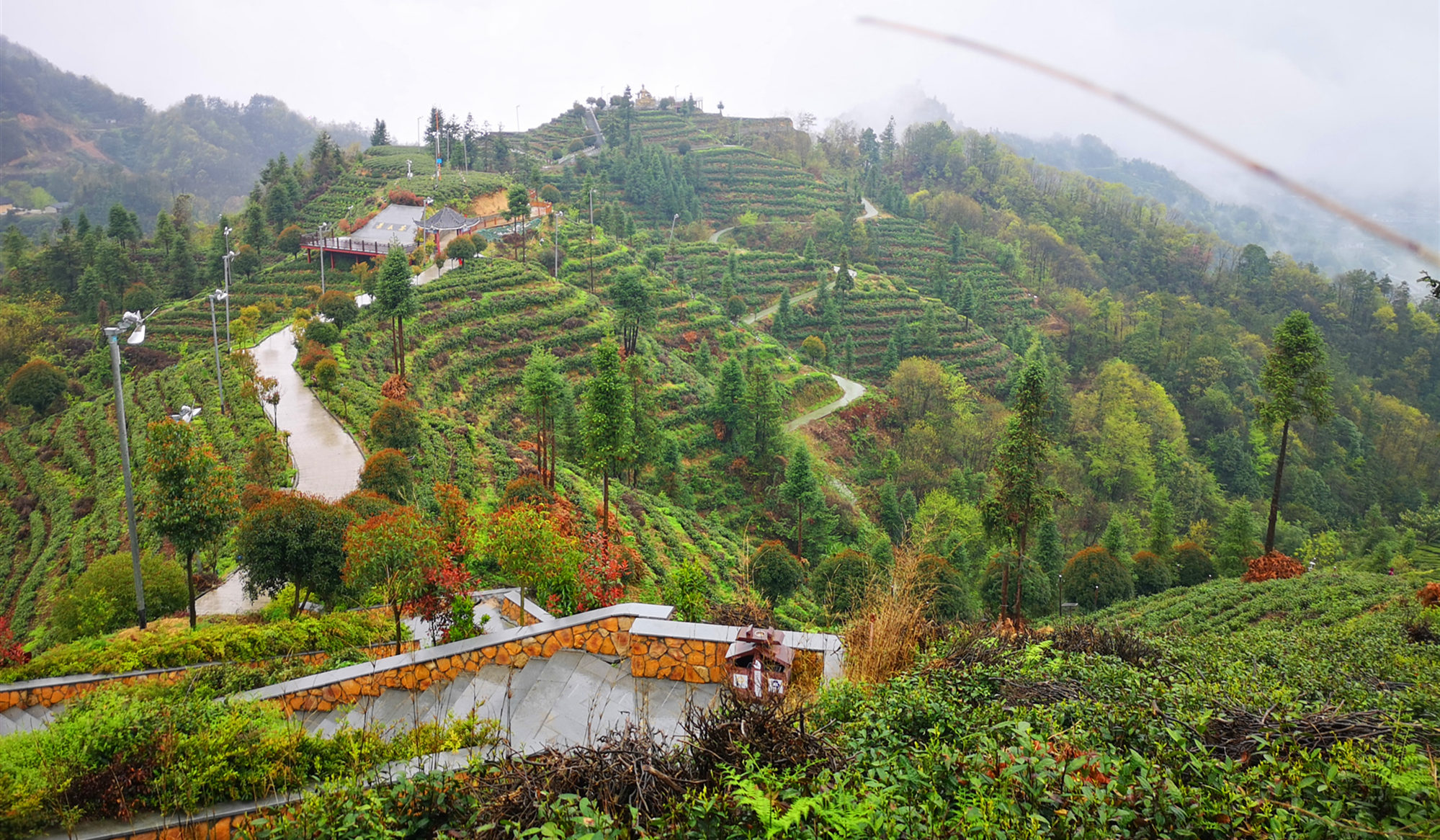 宜昌茶旅小镇图片