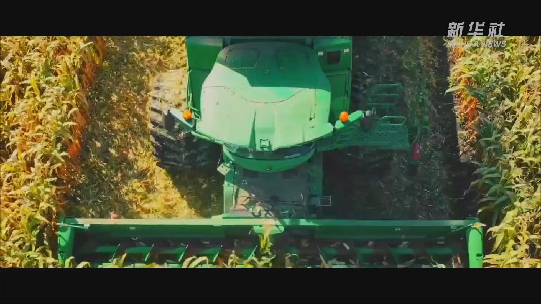 请点击图片查看视频