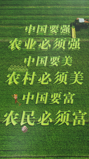 平语近人美丽乡村强美富