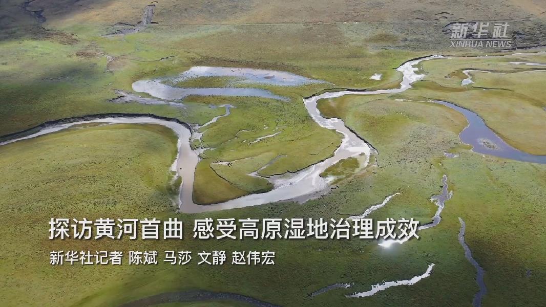 【甘快看】新华全媒+｜探访黄河首曲 感受高原湿地治理成效