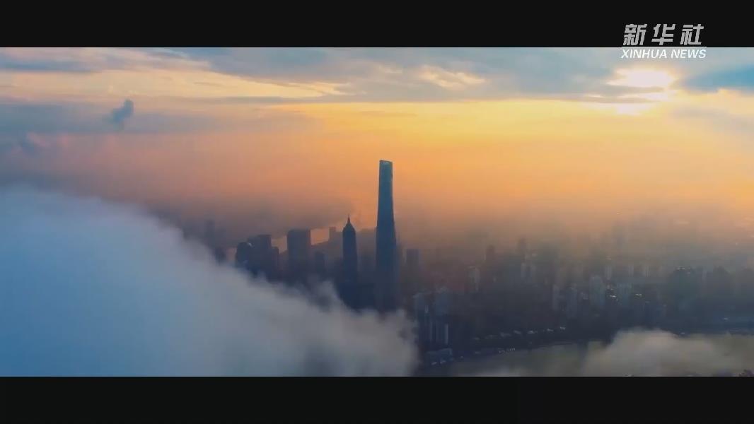 请点击图片查看视频