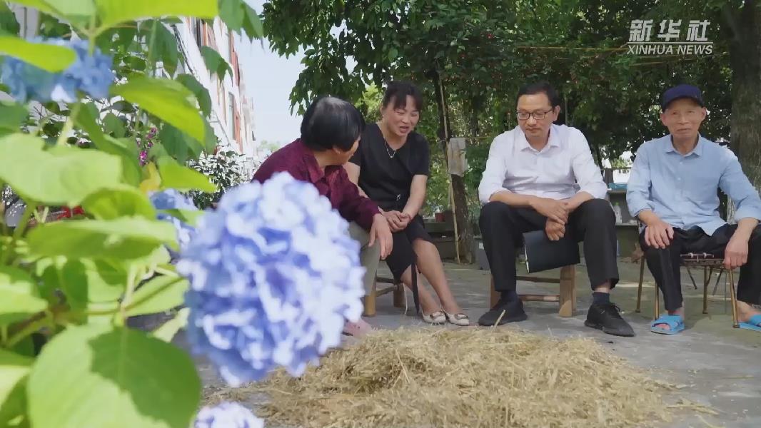 请点击图片查看视频