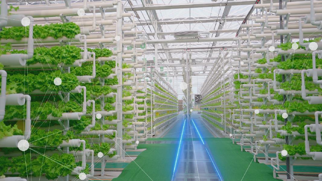 无人植物工厂与植物对话的高效农业系统