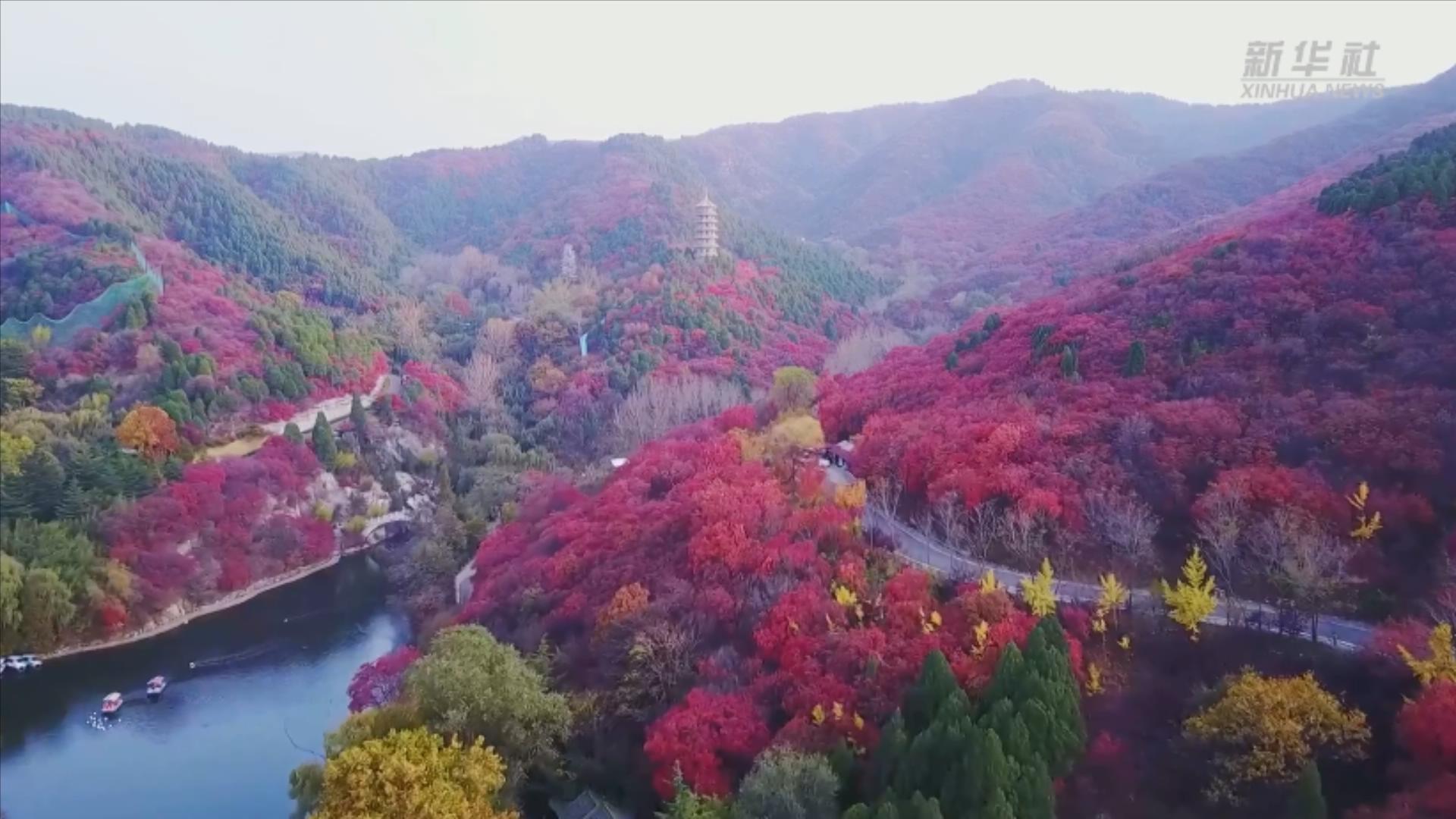 秋霜景色图片